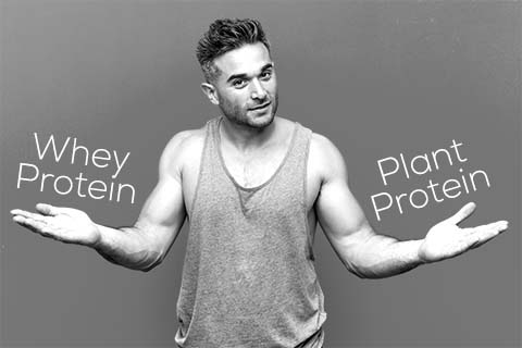 Whey Protein Vs Plant Protein For Muscle Building