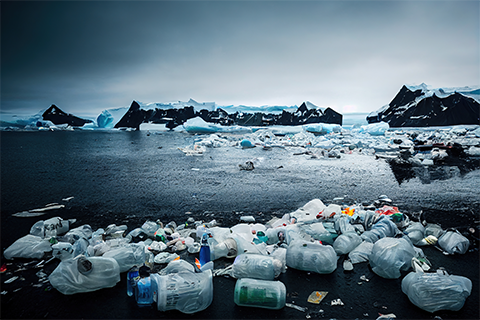 The Plastic Pollution Crisis – Facts & Information