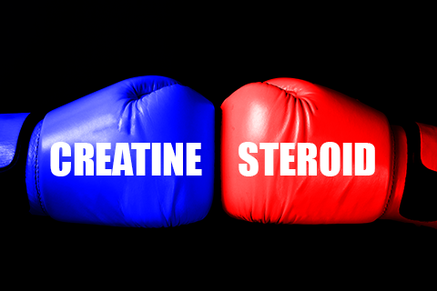 Is Creatine a Steroid? Fact or Misconception?
