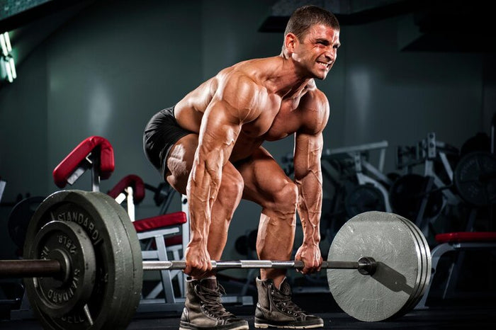 Creatine Monohydrate - Enhances Energy & Performance