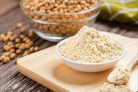 How To Choose The Best Plant Protein?