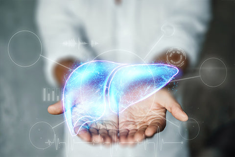 Does NAC Support Liver Detoxification?