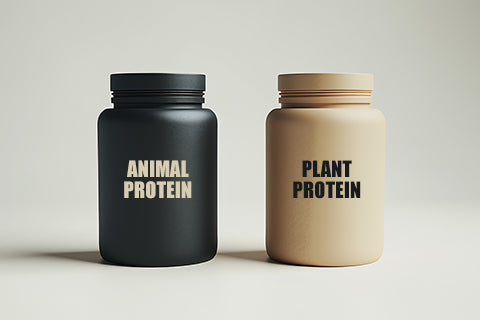 Plant Vs Animal Protein: It’s Not a Battle—It’s a Blueprint