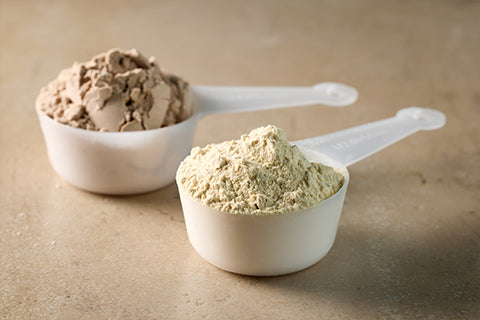 Whey Protein Concentrate Vs Whey Protein Isolate – Which Is Good For Beginners?