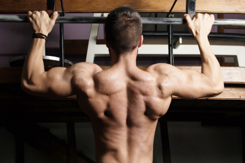 Effective Workouts To Burn Back Fat