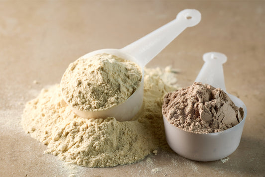 Yeast Protein Vs Whey Protein – Know The Difference