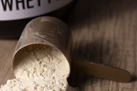 Best Whey Protein Powder In India 2023 - We've Got You Covered