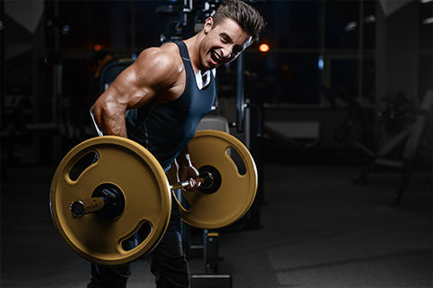 Creatine - Should You Or Should You Not Take On Rest Days?