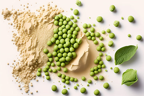 What Amino Acids Are Found In Pea Protein?