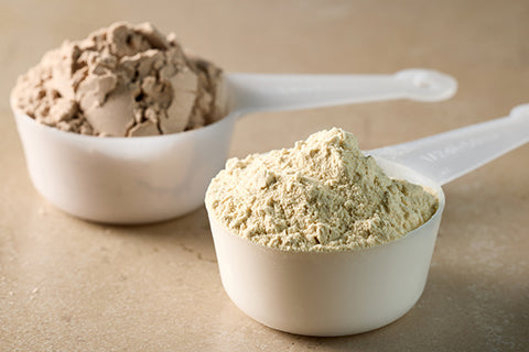 Fast Vs Slow Protein – Why Whey Wins Recovery?
