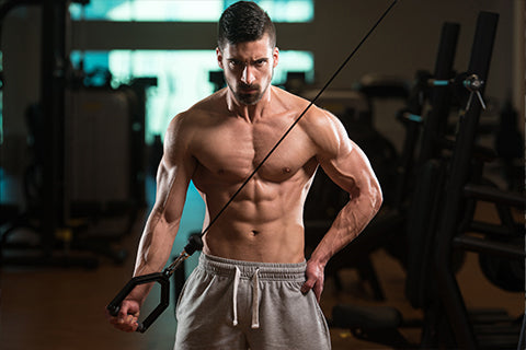 Creatine Monohydrate – Muscle Fuel or Hype