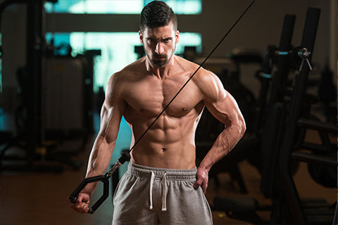 BCAA Vs Creatine - Which One To Choose?