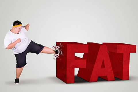 The Role Of Protein In Fat Loss