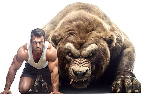 Animal Flow Workouts – A New Way Of Getting Fit