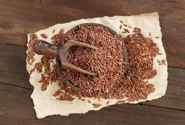 Everything You Need To Know About Brown Rice Protein