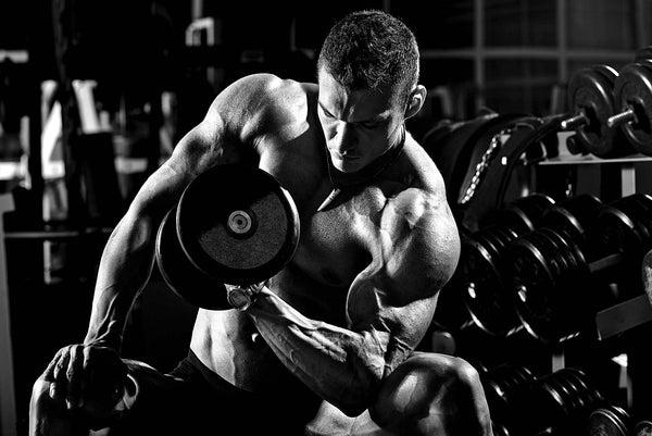 L-Citrulline - The Powerful Fatigue Fighter