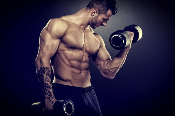 Creapure - The Power Supplement For Muscle Building