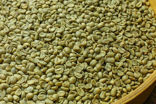 Top 5 Benefits Of Green Coffee Beans You Didn’t Know