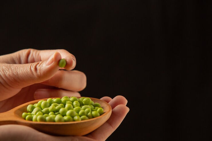 Pea Protein-A Plant Based Powerhouse