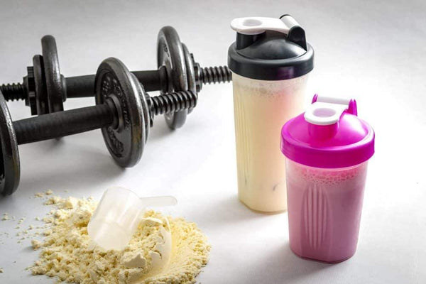 How Do Protein Shakes Help You Lose Weight?
