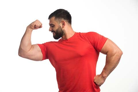 Whey Protein Vs Plant Protein For Muscle Building