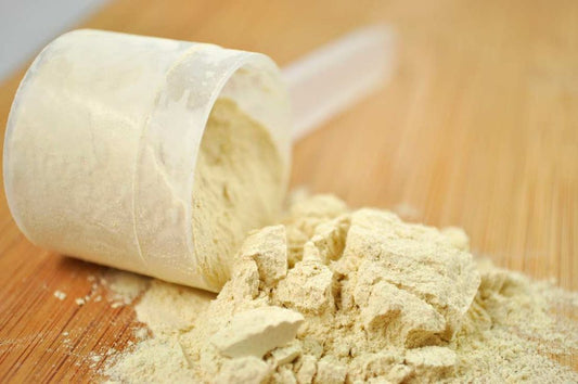 क्या हमें Whey protein पचाने के लिए पाचन enzymes की आवश्यकता है?